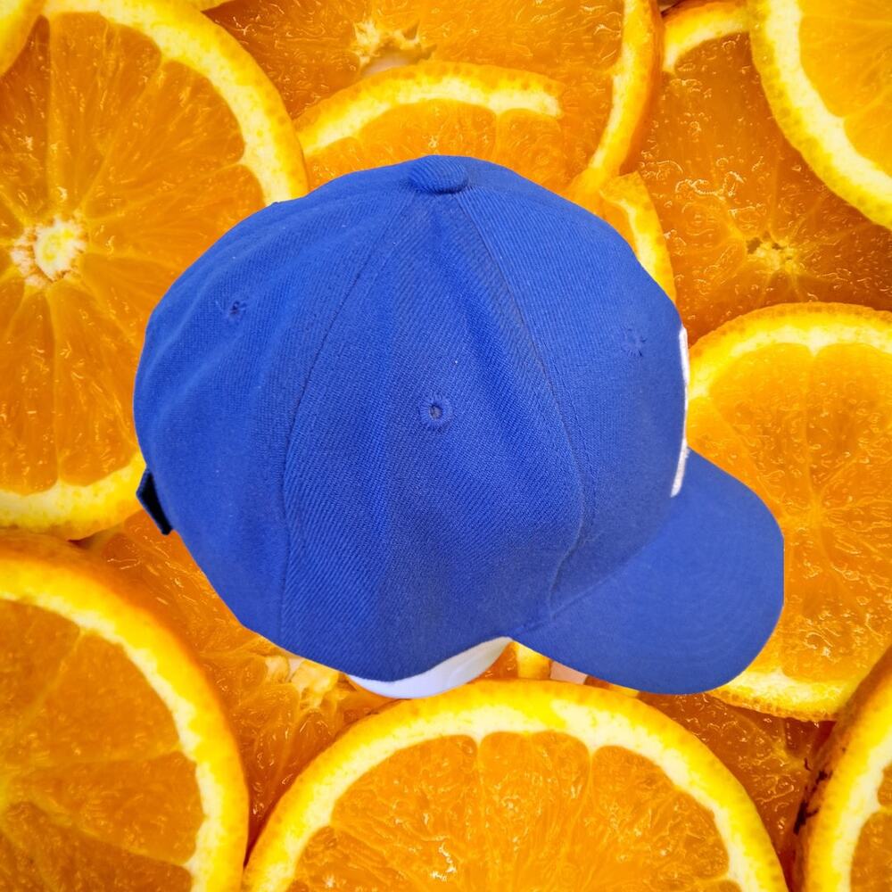 Git R Done Blue Adjustable Baseball Hat Cap - Picture 4 of 6